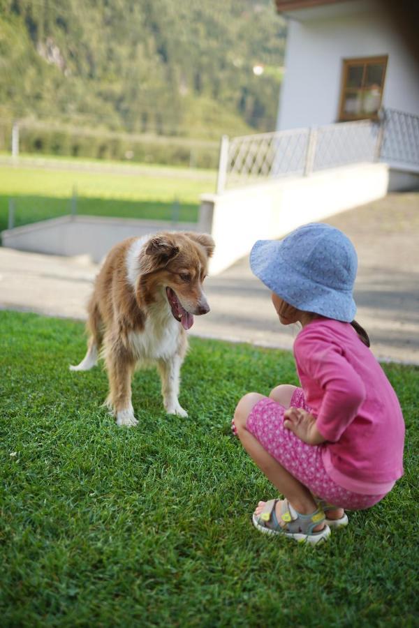 Aschau Im Zillertal Martlerhof 아파트 외부 사진