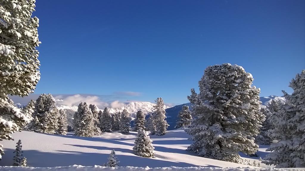 Aschau Im Zillertal Martlerhof 아파트 외부 사진