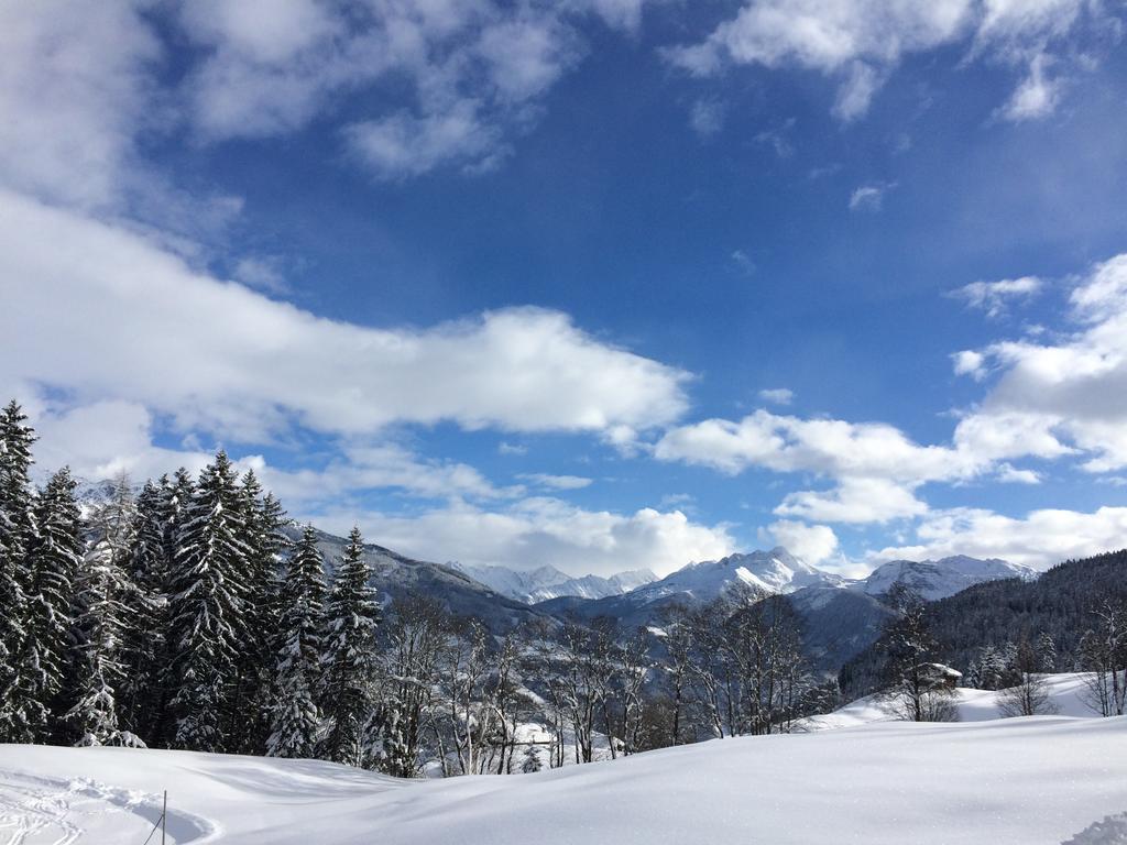 Aschau Im Zillertal Martlerhof 아파트 외부 사진