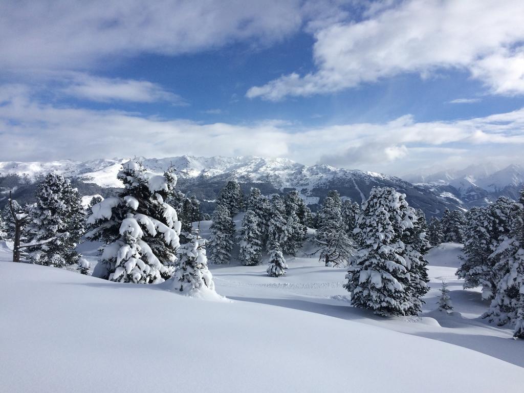 Aschau Im Zillertal Martlerhof 아파트 외부 사진