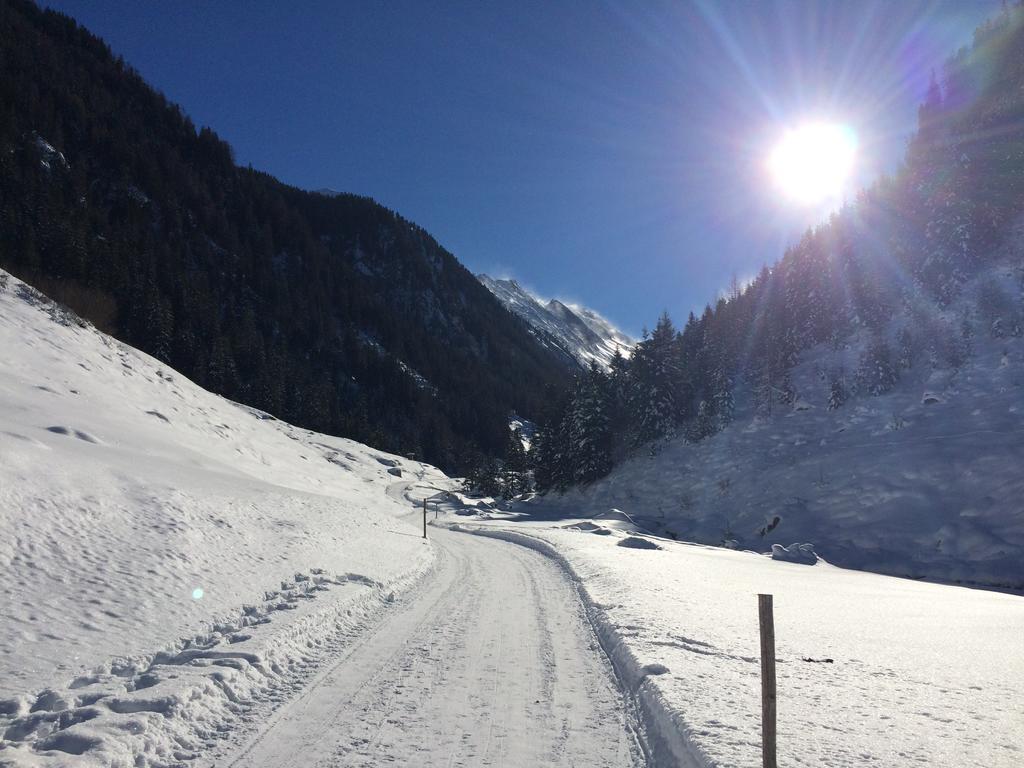 Aschau Im Zillertal Martlerhof 아파트 외부 사진
