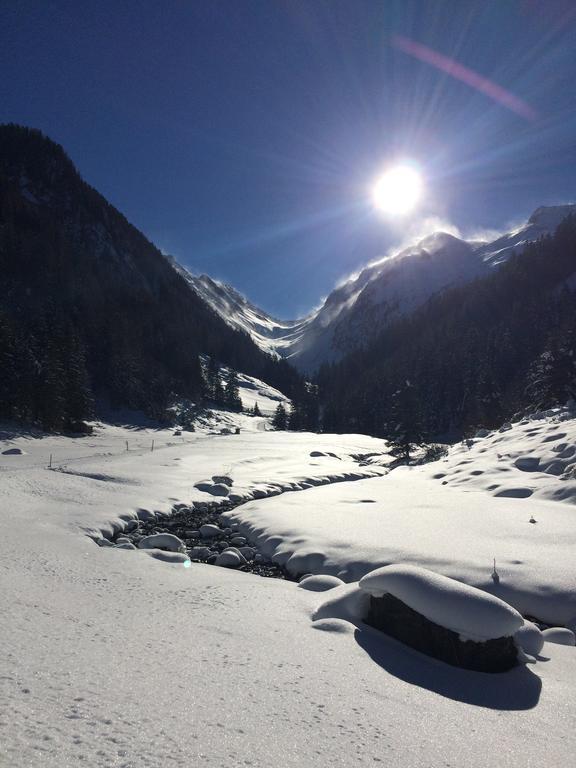 Aschau Im Zillertal Martlerhof 아파트 외부 사진